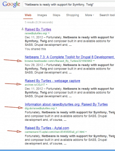 screenshot of Google results for term from WordPress excerpt